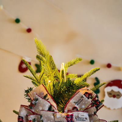 Christmas star ornament - AA Trading